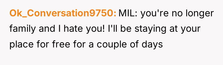 Ok_Conversation9750 MIL: you're no longer family and I hate you!...