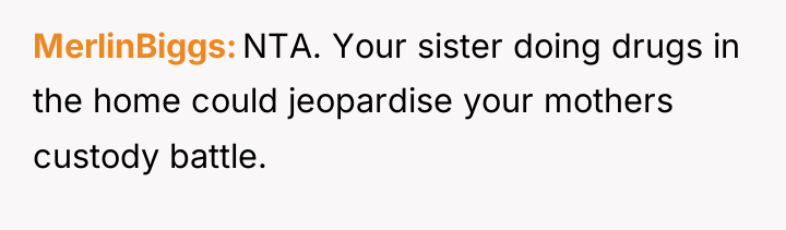 MerlinBiggs NTA. Your sister doing drugs in the home could...