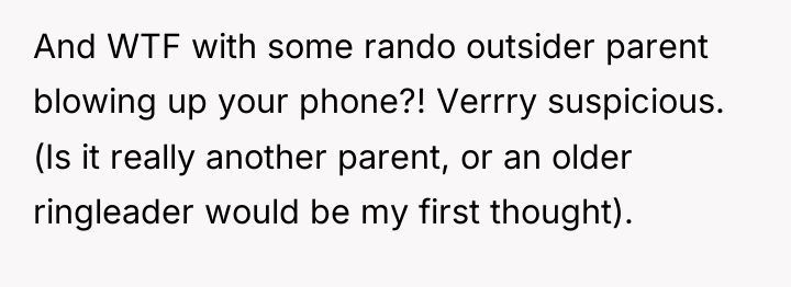 And WTF with some rando outsider parent blowing up your...