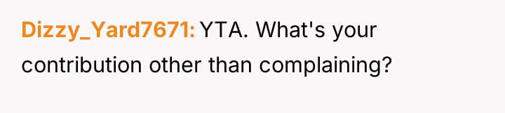 Dizzy_Yard7671 YTA. What's your contribution other than complaining?