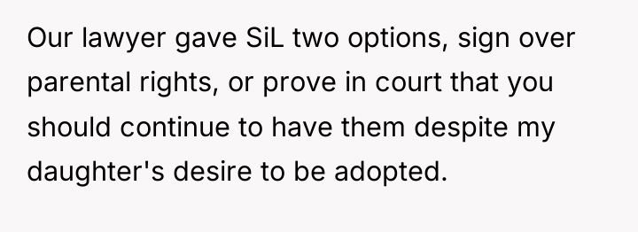 Our lawyer gave SiL two options, sign over parental rights,...