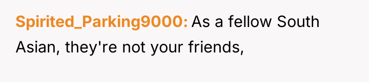 Spirited_Parking9000 As a fellow South Asian, they're not your friends,