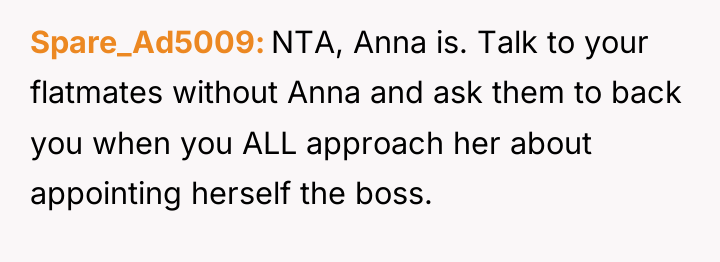 Spare_Ad5009 NTA, Anna is. Talk to your flatmates without Anna...