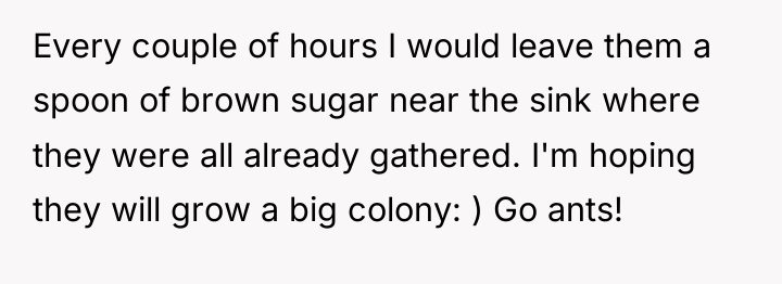 Every couple of hours I would leave them a spoon...