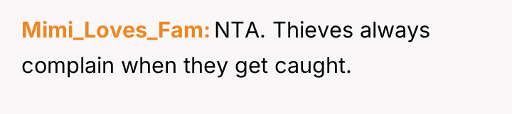 Mimi_Loves_Fam NTA. Thieves always complain when they get caught.