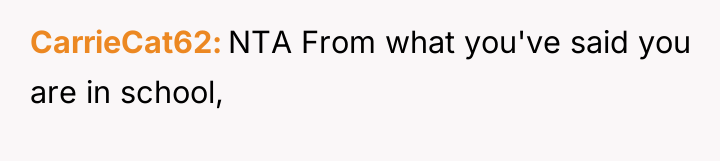 CarrieCat62 NTA From what you've said you are in school,