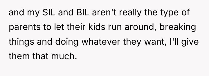and my SIL and BIL aren't really the type of...