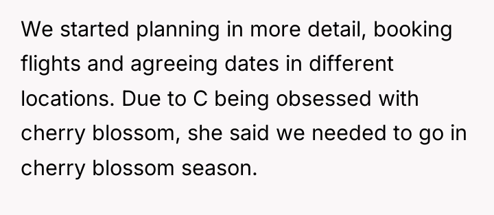 We started planning in more detail, booking flights and agreeing...
