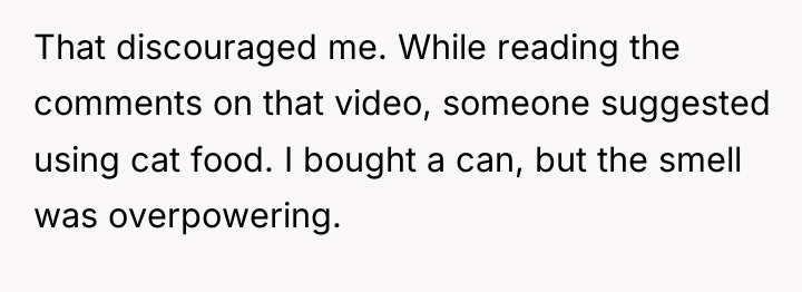 That discouraged me. While reading the comments on that video,...
