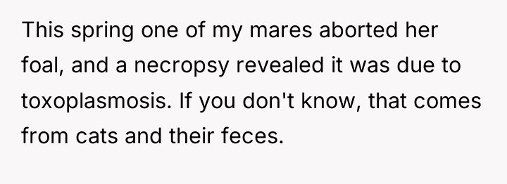 This spring one of my mares aborted her foal, and...