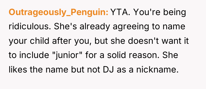 Outrageously_Penguin YTA. You're being ridiculous. She's already agreeing to name...