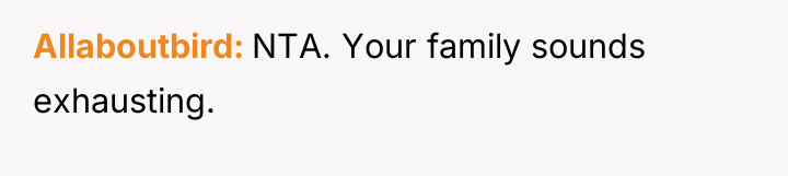 Allaboutbird NTA. Your family sounds exhausting.