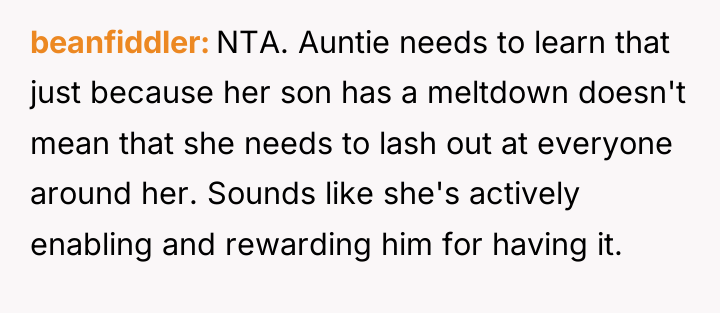beanfiddler NTA. Auntie needs to learn that just because her...