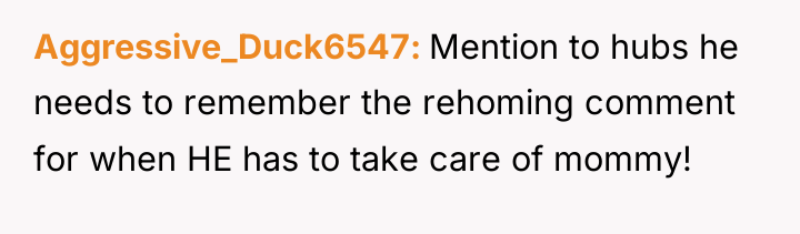 Aggressive_Duck6547 Mention to hubs he needs to remember the rehoming...