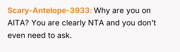 Scary-Antelope-3933 Why are you on AITA? You are clearly NTA...