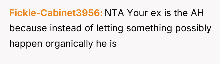Fickle-Cabinet3956 NTA Your ex is the AH because instead of...