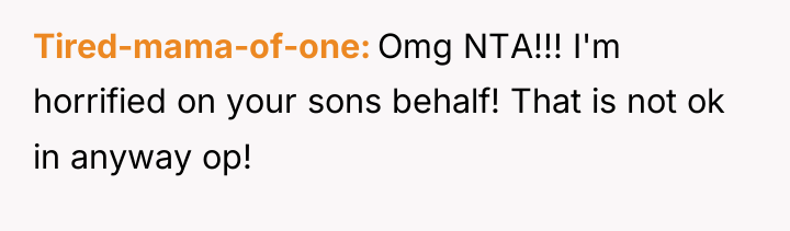 Tired-mama-of-one Omg NTA!!! I'm horrified on your sons behalf! That...