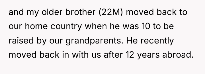 and my older brother (22M) moved back to our home...