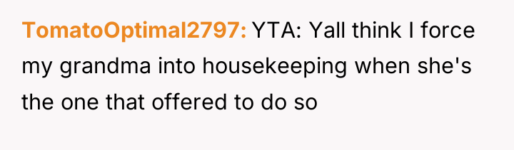 TomatoOptimal2797 YTA: Yall think I force my grandma into housekeeping...
