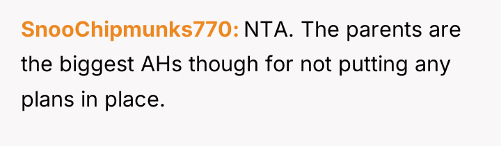 SnooChipmunks770 NTA. The parents are the biggest AHs though for...