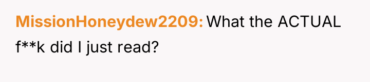 MissionHoneydew2209 What the ACTUAL f**k did I just read?