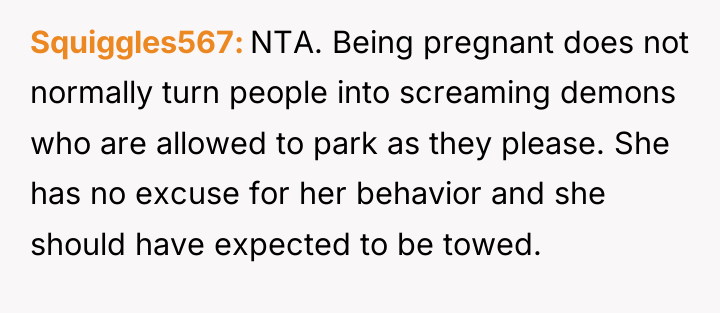 Squiggles567 NTA. Being pregnant does not normally turn people into...