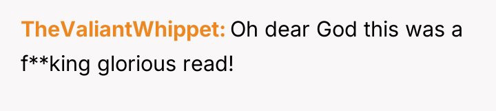 TheValiantWhippet Oh dear God this was a f**king glorious read!