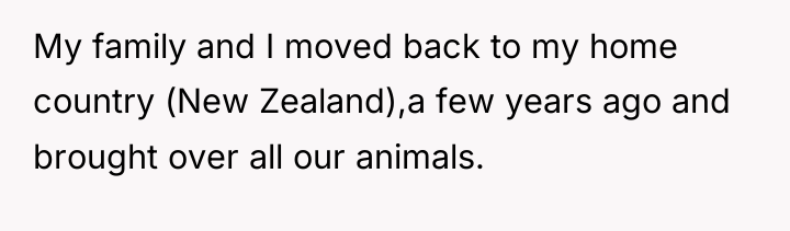 My family and I moved back to my home country...