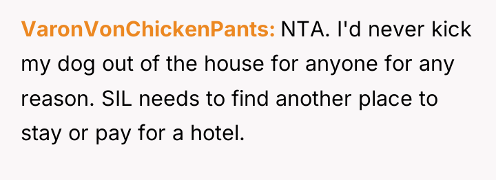 VaronVonChickenPants NTA. I'd never kick my dog out of the...