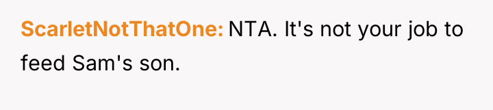 ScarletNotThatOne NTA. It's not your job to feed Sam's son.