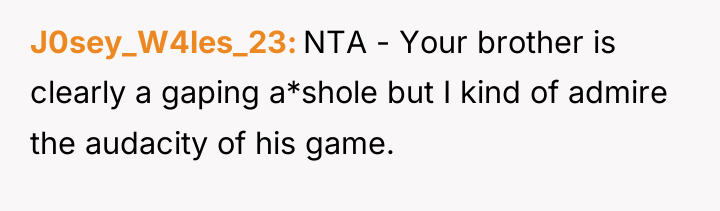 J0sey_W4les_23 NTA - Your brother is clearly a gaping a*shole...