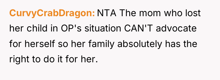 CurvyCrabDragon NTA The mom who lost her child in OP's...