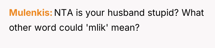 Mulenkis NTA is your husband stupid? What other word could...