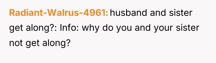 Radiant-Walrus-4961 husband and sister get along?: Info: why do you...