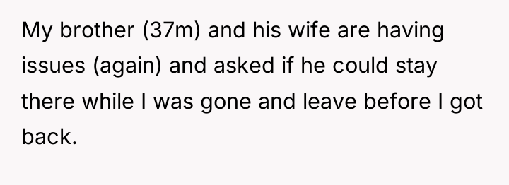 My brother (37m) and his wife are having issues (again)...