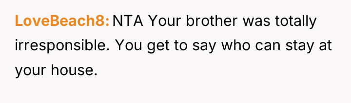 LoveBeach8 NTA Your brother was totally irresponsible. You get to...