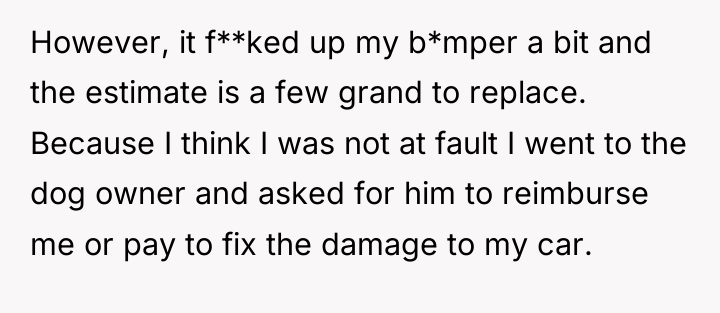However, it f**ked up my b*mper a bit and the...