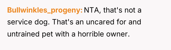 Bullwinkles_progeny NTA, that's not a service dog. That's an uncared...