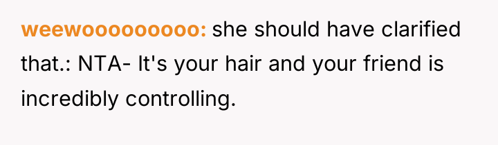 weewooooooooo she should have clarified that.: NTA- It's your hair...