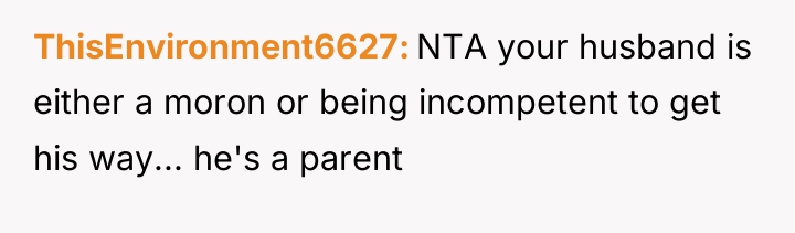 ThisEnvironment6627 NTA your husband is either a moron or being...