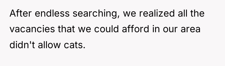After endless searching, we realized all the vacancies that we...