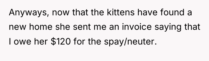 Anyways, now that the kittens have found a new home...