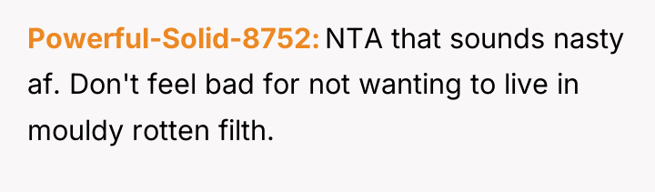 Powerful-Solid-8752 NTA that sounds nasty af. Don't feel bad for...
