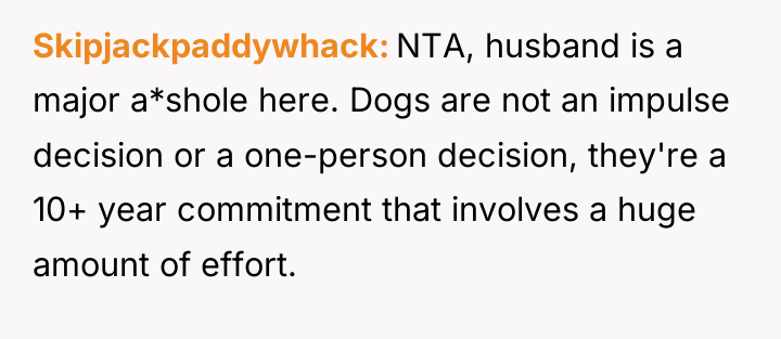 Skipjackpaddywhack NTA, husband is a major a*shole here. Dogs are...