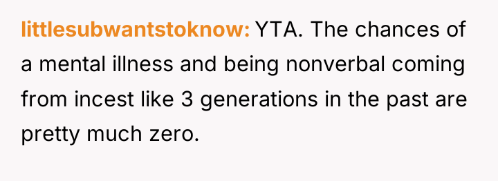 littlesubwantstoknow YTA. The chances of a mental illness and being...