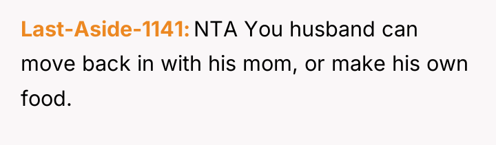 Last-Aside-1141 NTA You husband can move back in with his...
