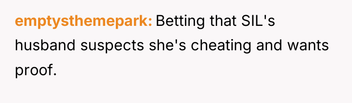 emptysthemepark Betting that SIL's husband suspects she's cheating and wants...