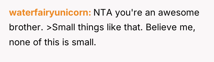 waterfairyunicorn NTA you're an awesome brother. >Small things like that....