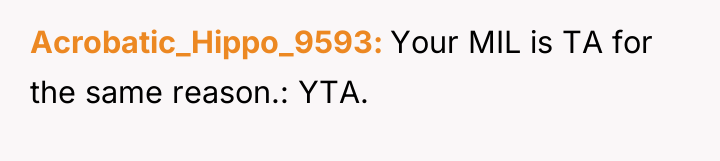 Acrobatic_Hippo_9593 Your MIL is TA for the same reason.: YTA.