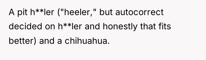 A pit h**ler ("heeler," but autocorrect decided on h**ler and...